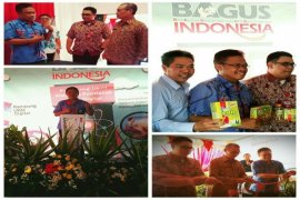 Telkom Resmikan Kampung UKM Digital Aloevera Pontianak