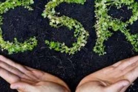 Jelang Hari Jadi Dumai, Wako Dorong Perusahaan Aktif Salurkan CSR