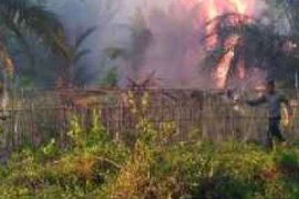   Kebakaran 20 Hektare, Bengkalis Kembali Diselimuti Kabut dan Bau Asap