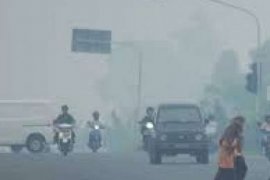 Pengamat Beri Masukan Terkait Kabut Asap Yang Terjadi Di Riau