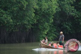 Penajam kembangkan ekowisata hutan bakau Page 1 Small