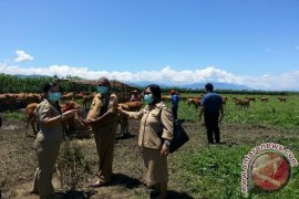 PDHI-Mahasiswa Dilibatkan Timwas Hewan Kurban 