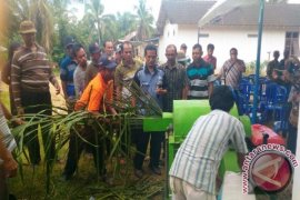 Dinas Peternakan Paser Gelar Pelatihan Pakan Ternak  