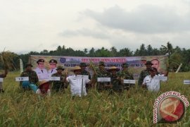 Petani Labuhanbatu Minta Pompanisasi Air Persawahan