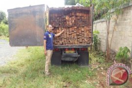Polisi Tangkap Sopir Bawa Kayu Ulin Ilegal 