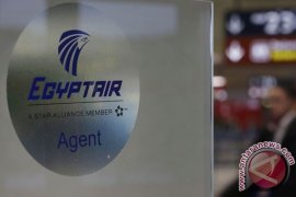Pendapat Pakar Tentang Asap di EgyptAir MS804