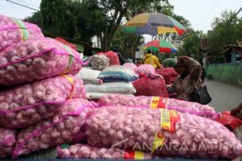 Harga Bawang Putih Naik
