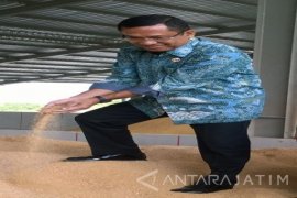 Menperin: Konsumsi Susu Masyarakat Indonesia Masih Rendah