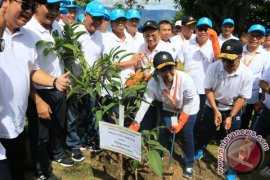 PENANAMAN POHON BUMN