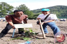 Kabiro Antara Sumut Menanam Pohon