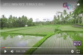 Bali Go Live, wisata digital ke Pulau Dewata Page 1 Small