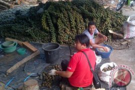 Kolang-kaling Rejanglebong penuhi kebutuhan masyarakat Palembang