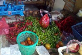Harga Cabai Di Kabupaten Bogor Turun