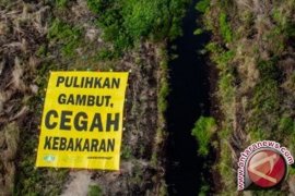 BRG: Peatland restoration cuts greenhouse gas emissions significantly