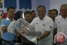 41 Daerah Ikuti Kontes Koi Tingkat Nasional