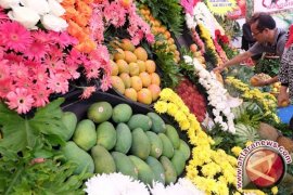 Tekanan Darah Anda tinggi? Konsumsi Sayuran dan Buah