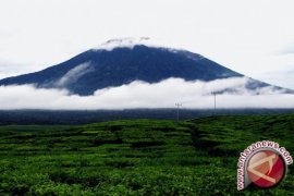 BPBD: jalur penerbangan sebaiknya hindari Gunung Kerinci