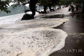Banjir Rob Pengaruhi Kunjungan Wisata Pesisir Trenggalek Turun