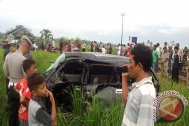 Sibinuang Tabrak Mobil di Pariaman Selatan