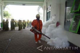 11 Warga Bojonegoro Meninggal Akibat Terserang DBD