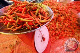 Harga Pangan Gorontalo: harga cabai rawit semakin pedas