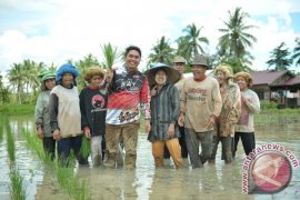 Tanbu Bentuk Desa Mandiri Benih