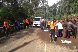 Jalur Alternatif Jatim-Jateng Tertutup Pohon Tumbang