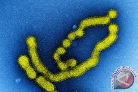 Brasil laporkan 886 kematian akibat flu babi