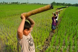 Seorang Bocah di Ngawi Terluka Akibat Bermain Meriam Spiritus