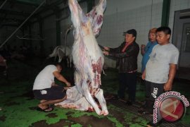 Disperindag Sulut antisipasi peningkatan kebutuhan daging sapi