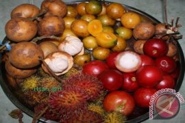 Tanam Buah Lokal Sekaligus Bersedekah Oksigen 