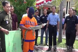 Polres Magetan Tangkap Tersangka Penjual Satwa Dilindungi