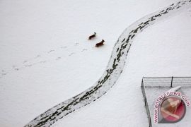 Perbatasan Ditutup, 4.000 Warga Argentina Tertahan di Chile