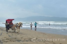 Wisata Pantai Teleng Ria Pacitan