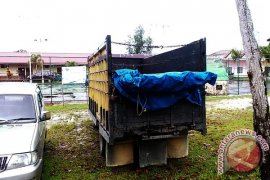 Polisi tahan truk bawa kayu ilegal