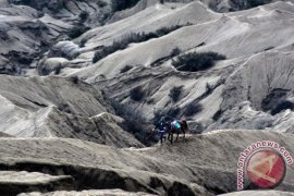 WISATA GUNUNG BROMO Page 1 Small