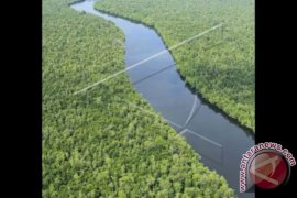 Wow! Ternyata tanah gambut bisa mempercantik kulit