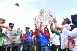 PENYAMBUTAN PIALA ADIPURA KIRANA 2016