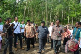 Warsi dampingi nagari kelola hutan kemasyarakatan