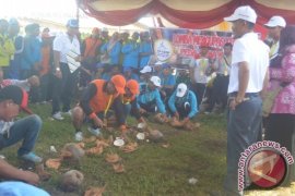  Lomba Kupas Kelapa Meriahkan PEDA KTNA di Pulpis