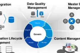 Ini Dia Solusi Manajemen Data Berkualitas Tinggi dari SAP HANA 