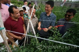 Ekspor Benih PT Bisi