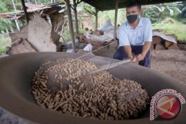 KACANG SANGRAI PASIR Page 1 Small