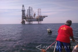 HCML Temukan Rumpon Baru di Area Steril