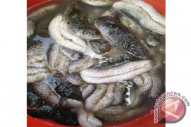 DKP Singkil tangkap nelayan gunakan pukat ilegal