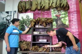 Museum Tembakau Jember