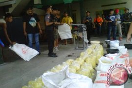 Polres ungkap pabrik mi kuning mengandung boraks