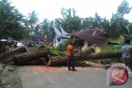 Sembilan orang tewas saat badai Jebi hantam Jepang