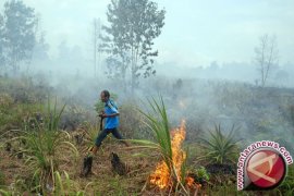 Memburu Pembakar Hutan dan Lahan