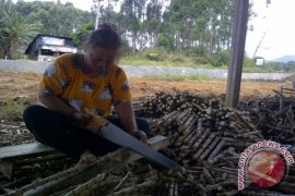 BUMD Bawa Berkah Bagi Masyarakat